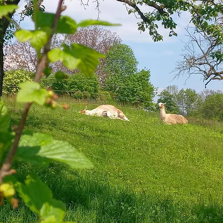 Kaerntnergmiat * Feldkirchen in Kärnten