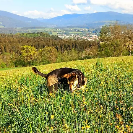 別荘 Kaerntnergmiat Feldkirchen in Kärnten