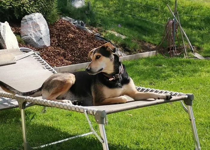 Kaerntnergmiat 別荘 Feldkirchen in Kärnten