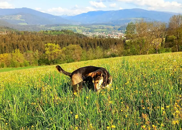 別荘 Kaerntnergmiat Feldkirchen in Kärnten